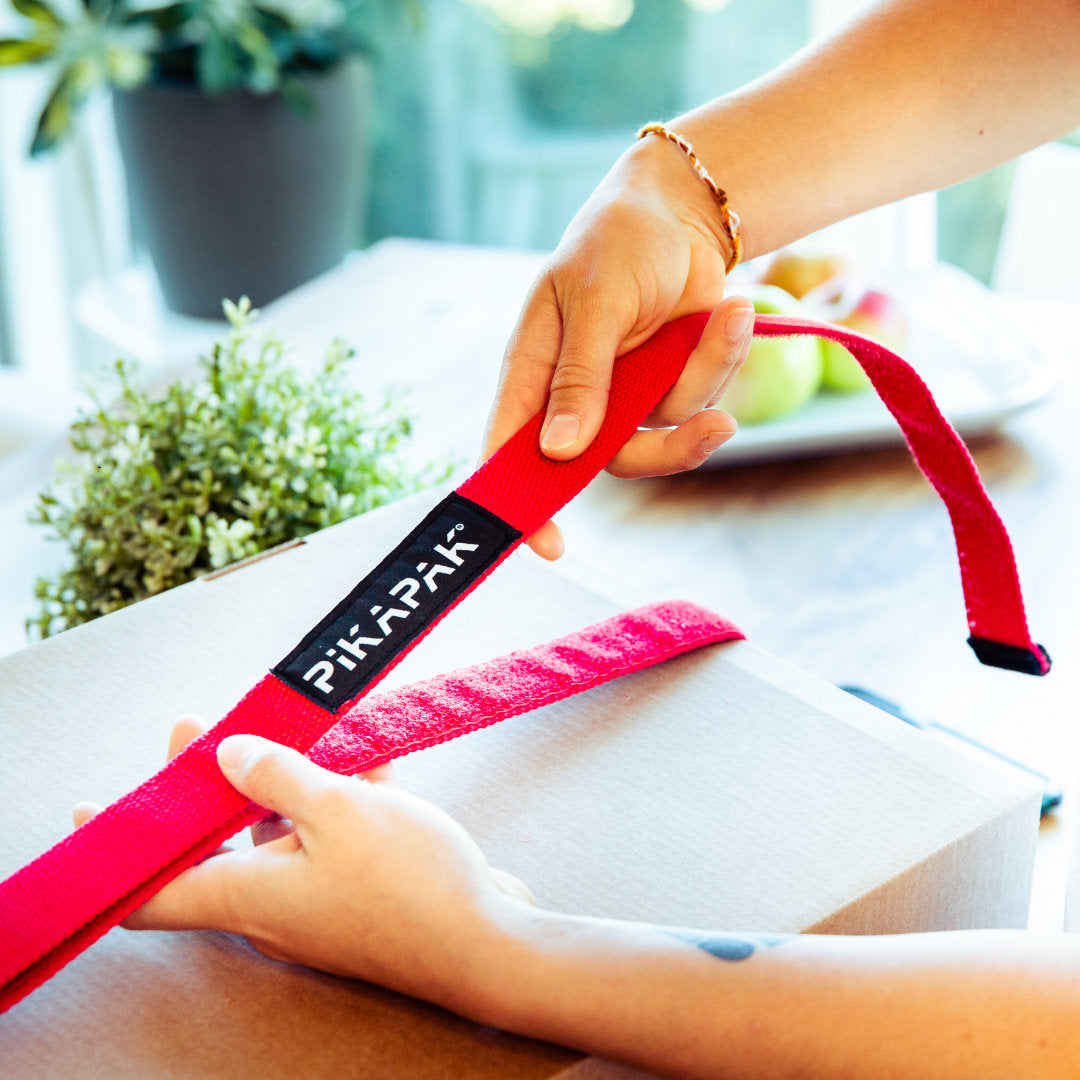 PIKAPAK ONE FRIENDSPACK  (2 STK.)